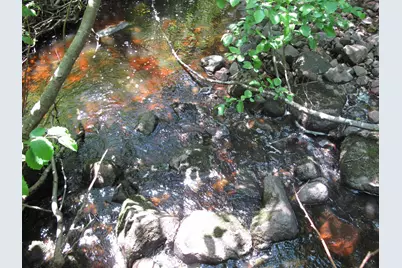 532X Caribou Tr, Lutsen, MN 55612 - Photo 49