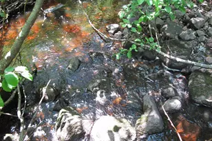 532X Caribou Trail, Lutsen, MN 55612 - Photo 49