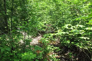 532X Caribou Trail, Lutsen, MN 55612 - Photo 49