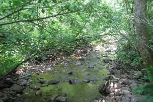 532X Caribou Trail, Lutsen, MN 55612 - Photo 51