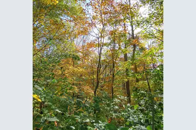 532X Caribou Tr, Lutsen, MN 55612 - Photo 55