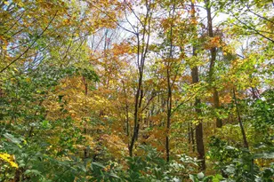 532X Caribou Trail, Lutsen, MN 55612 - Photo 55