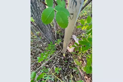 85 Arrowhead Ln, Moose Lake, MN 55767 - Photo 7