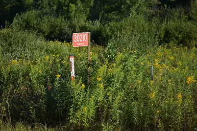 30210 Wannebo Rd, Washburn, WI 54891 - Photo 5