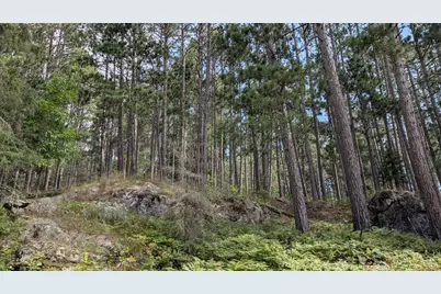 8884 Raps Rd, Cook, MN 55723 - Photo 43