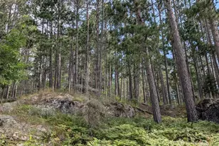 8884 Raps Rd, Cook, MN 55723 - Photo 43