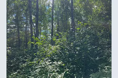 3215 County Rd 904, Babbitt, MN 55706 - Photo 37