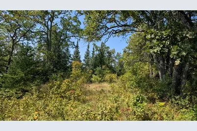 Tbd Lake Vermilion, Tower, MN 55790 - Photo 5