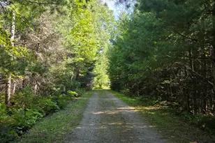 1663 Saari Rd, Ely, MN 55731 - Photo 27