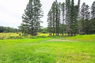 2845 Vermilion Trail, Makinen, MN 55763 - Photo 3