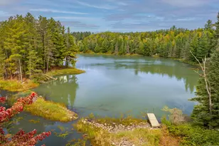 8644 Pulkinen Rd, Embarrass, MN 55732 - Photo 13