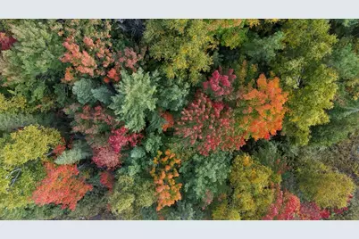 2375 Viste Point Rd, Ely, MN 55731 - Photo 75