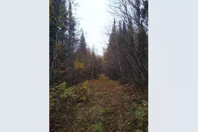 Xxx Stony River Forest Rd, Isabella, MN 55607 - Photo 13