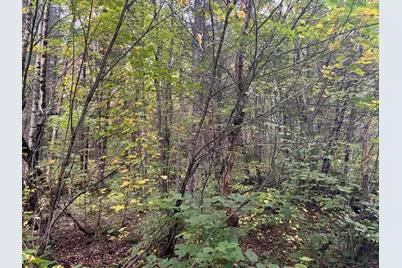 Xxx Stony River Forest Rd, Isabella, MN 55607 - Photo 7