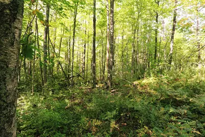 000 W 10th Ave, Washburn, WI 54891 - Photo 29