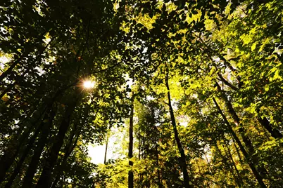 000 W 10th Ave, Washburn, WI 54891 - Photo 25