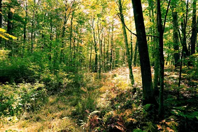 000 W 10th Ave, Washburn, WI 54891 - Photo 19