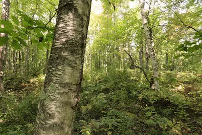 000 W 10th Ave, Washburn, WI 54891 - Photo 23