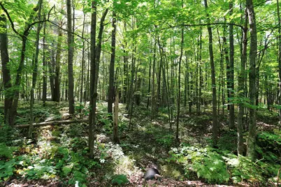 000 W 10th Ave, Washburn, WI 54891 - Photo 27