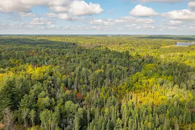 Tbd N White Iron Rd, Ely, MN 55731 - Photo 3