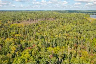 Tbd N White Iron Rd, Ely, MN 55731 - Photo 13
