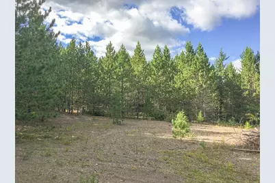 10350 Victor Lake Rd, Isabella, MN 55607 - Photo 41