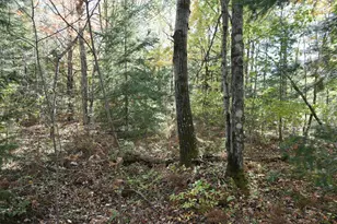 77942 County Line Rd, Mellen, WI 54546 - Photo 35