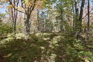 77942 County Line Rd, Mellen, WI 54546 - Photo 13
