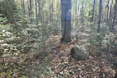 77942 County Line Rd, Mellen, WI 54546 - Photo 31