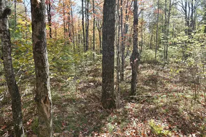 77942 County Line Rd, Mellen, WI 54546 - Photo 29