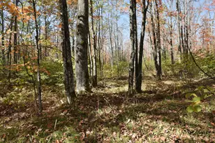 77942 County Line Rd, Mellen, WI 54546 - Photo 27