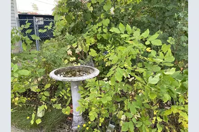 324 S 4th Ave E, Ely, MN 55731 - Photo 39