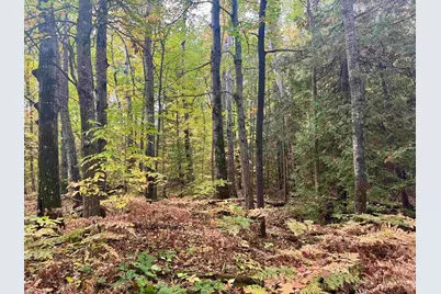 Tbd Eagle Run, Bayfield, WI 54814 - Photo 3