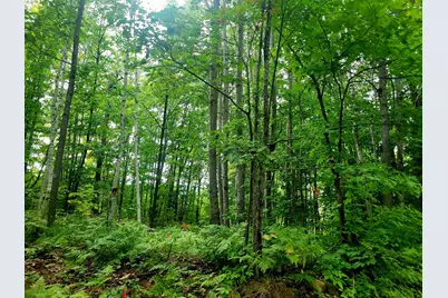 11Xxx Old Military Rd, Bayfield, WI 54814 - Photo 11