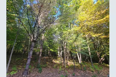 11Xxx Old Military Rd, Bayfield, WI 54814 - Photo 17
