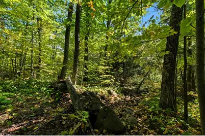 85Xxx Apple Hill Rd, Bayfield, WI 54814 - Photo 23
