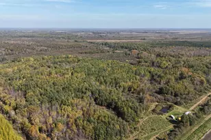 Xxxx 460th Ln, Palisade, MN 56469 - Photo 1