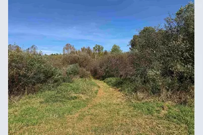 Xxxx 460th Ln, Palisade, MN 56469 - Photo 5