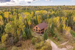 1247 Wolf Den Dr, Ely, MN 55731 - Photo 83