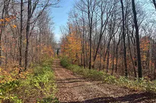 Xx W Deeryard Lake Rd, Lutsen, MN 55612 - Photo 9