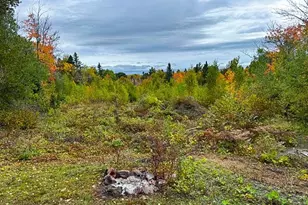 1541 Camp 20 Rd, Hovland, MN 55606 - Photo 9