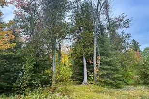 1541 Camp 20 Rd, Hovland, MN 55606 - Photo 19