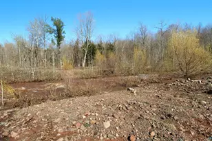 39142 N York Rd, High Bridge, WI 54846 - Photo 71