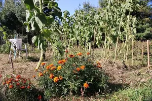 39142 N York Rd, High Bridge, WI 54846 - Photo 63