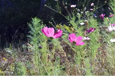 39142 North York Rd, High Bridge, WI 54846 - Photo 65