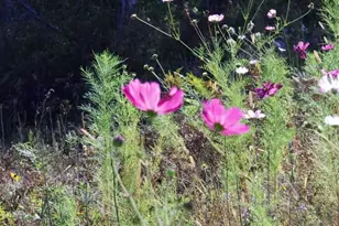 39142 N York Rd, High Bridge, WI 54846 - Photo 65