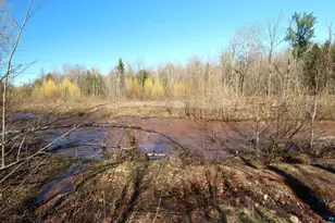 39142 N York Rd, High Bridge, WI 54846 - Photo 69