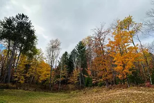 6955 Kolling Rd, Iron River, WI 54847 - Photo 19
