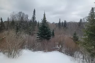 4571 Forest Rd 609, Finland, MN 55603 - Photo 35