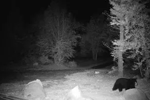 4571 Forest Rd 609, Finland, MN 55603 - Photo 31